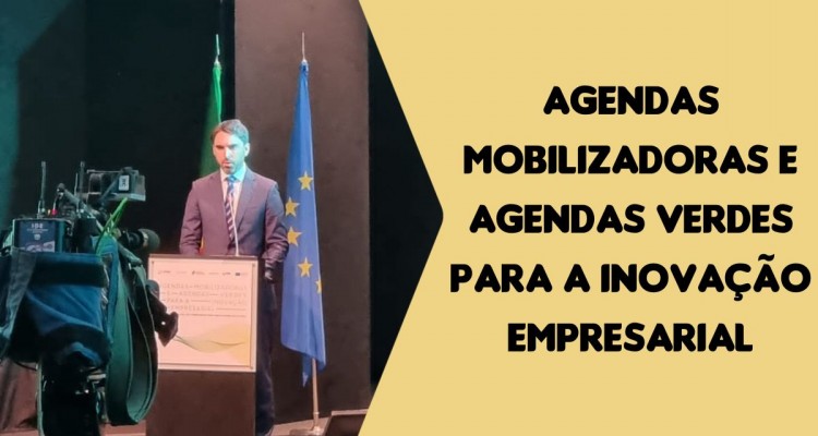 Bruno Silva, at the event Mobilizing Agendas and Green Agendas for Business Innovation