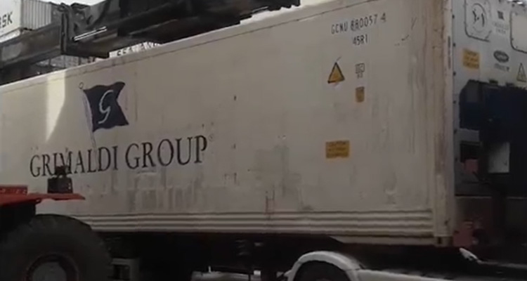 Transporte de Reefer ligado | Alcont Bobadela &gt; TCL | GRIMALDI