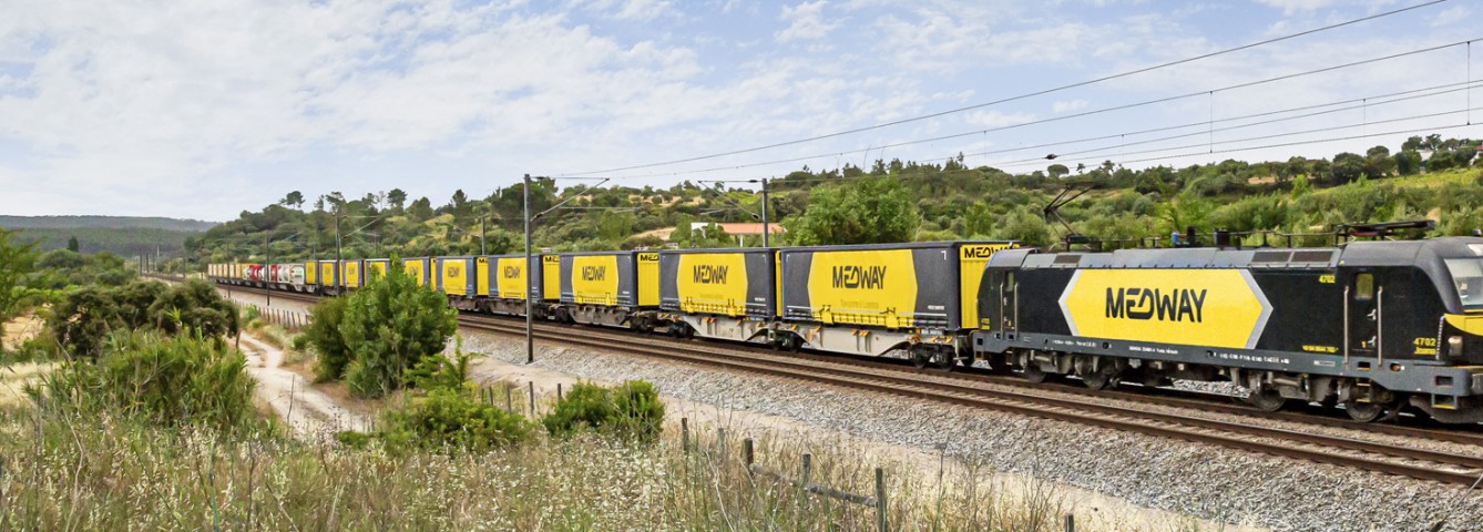 Operador de Terminal (Terminal Operator) M/F