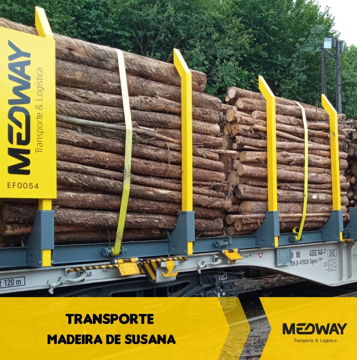 Transporte madeira