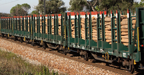 Transport of Forestry Products