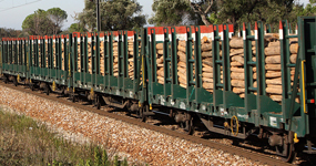 Transporte de Fileira Florestal