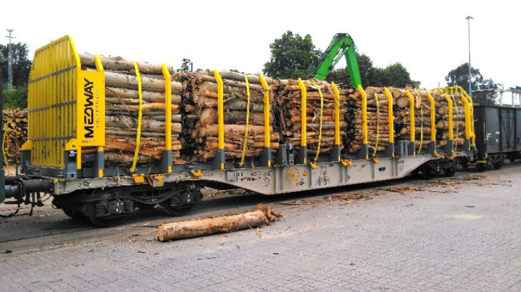 Flat Wagon for Wood Transport